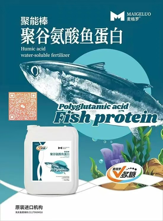 上海麦格罗进出口贸易有限公司3.jpg