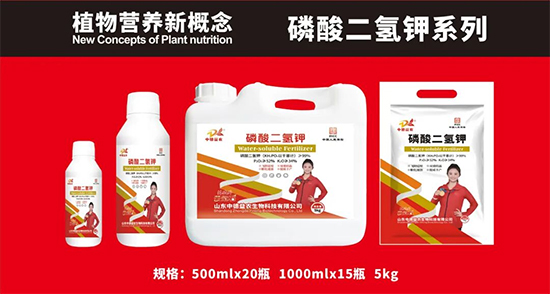 山东中德益农生物科技有限公司4.jpg