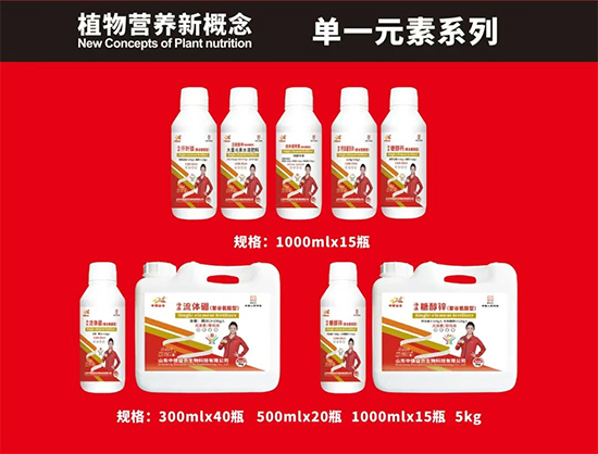 山东中德益农生物科技有限公司3.jpg