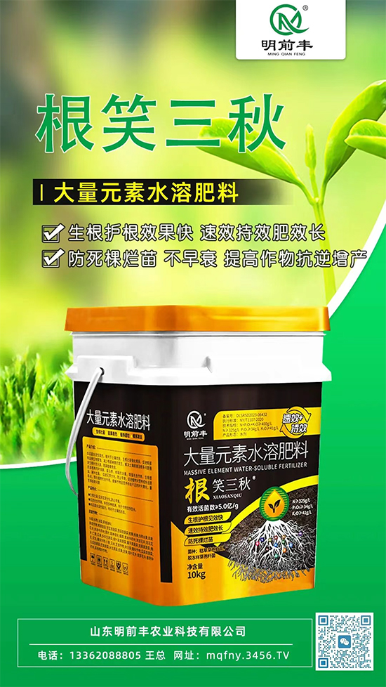 山东明前丰农业科技有限公司2.jpg