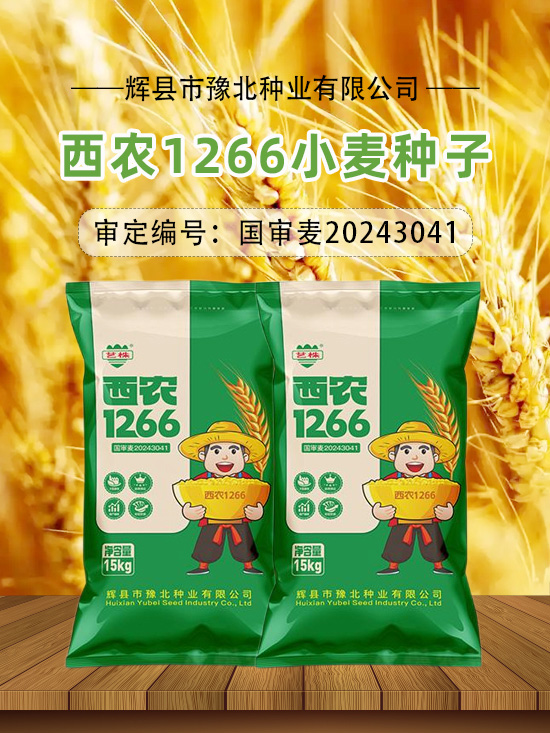 10.jpg 10.jpg