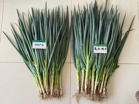 山东百信生物科技有限公司8.jpg
