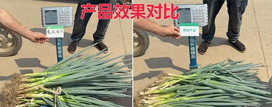 山东百信生物科技有限公司5.jpg