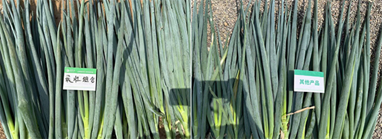山东百信生物科技有限公司6.jpg