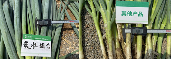 山东百信生物科技有限公司4.jpg