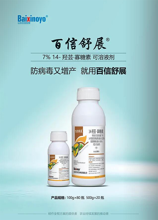 百信2.jpg