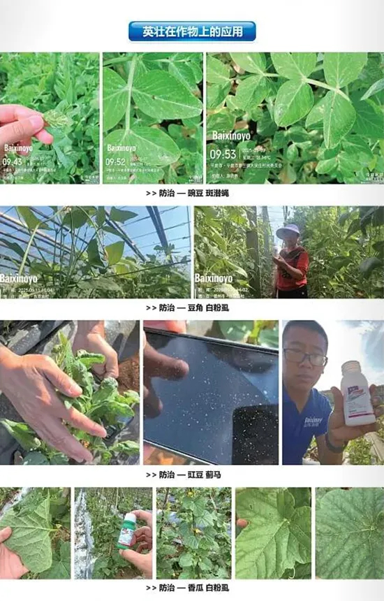 灞变笢鐧句俊鐢熺墿绉戞妧鏈夐檺鍏徃14.jpg 灞变笢鐧句俊鐢熺墿绉戞妧鏈夐檺鍏徃14.jpg