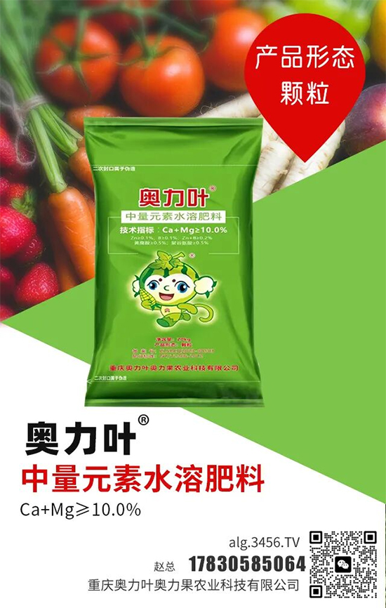 閲嶅簡濂ュ姏鍙跺ゥ鍔涙灉鍐滀笟绉戞妧鏈夐檺鍏徃4.jpg 閲嶅簡濂ュ姏鍙跺ゥ鍔涙灉鍐滀笟绉戞妧鏈夐檺鍏徃4.jpg