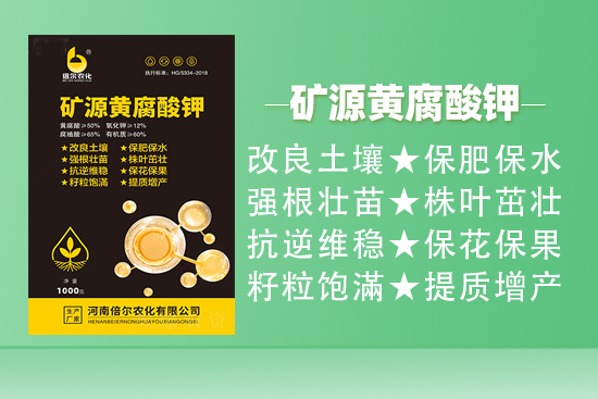 鍊嶅皵.jpg 鍊嶅皵.jpg