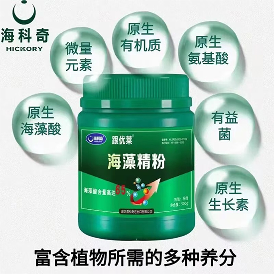 潍坊海科奇进出口有限公司10.jpg