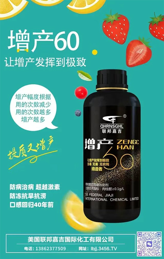 美国联邦嘉吉国际化工有限公司4.jpg