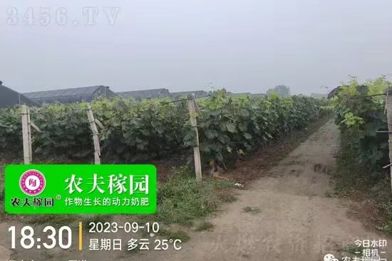 农夫稼园生物技术有限公�?.jpg