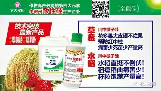 农夫稼园生物技术有限公�?.jpg