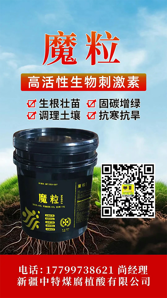 鏂扮枂涓壒鐓よ厫妞嶉吀鏈夐檺鍏徃7.jpg 鏂扮枂涓壒鐓よ厫妞嶉吀鏈夐檺鍏徃7.jpg