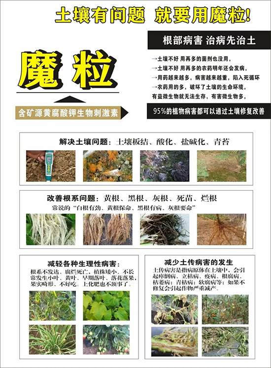 鏂扮枂涓壒鐓よ厫妞嶉吀鏈夐檺鍏徃6.jpg 鏂扮枂涓壒鐓よ厫妞嶉吀鏈夐檺鍏徃6.jpg