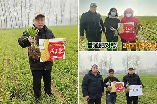 黑龙江省北沃农业科技有限公司24.jpg
