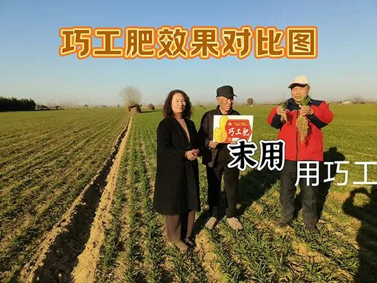 黑龙江省北沃农业科技有限公司23.jpg