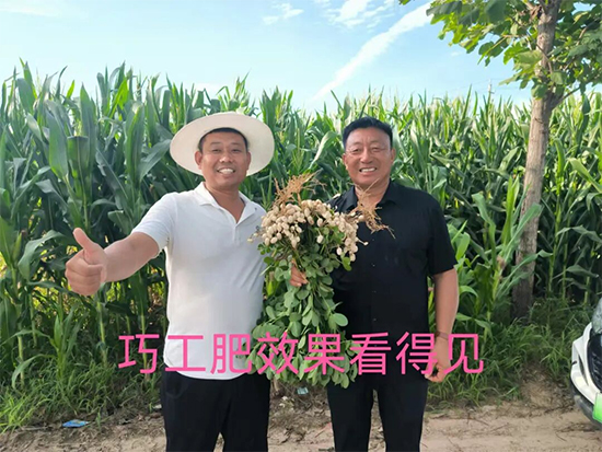 黑龙江省北沃农业科技有限公司22.jpg