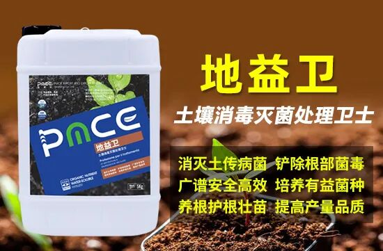 鏅編鏂繘鍑哄彛璐告槗锛堟綅鍧婏級鏈夐檺鍏徃3.png 鏅編鏂繘鍑哄彛璐告槗锛堟綅鍧婏級鏈夐檺鍏徃3.png