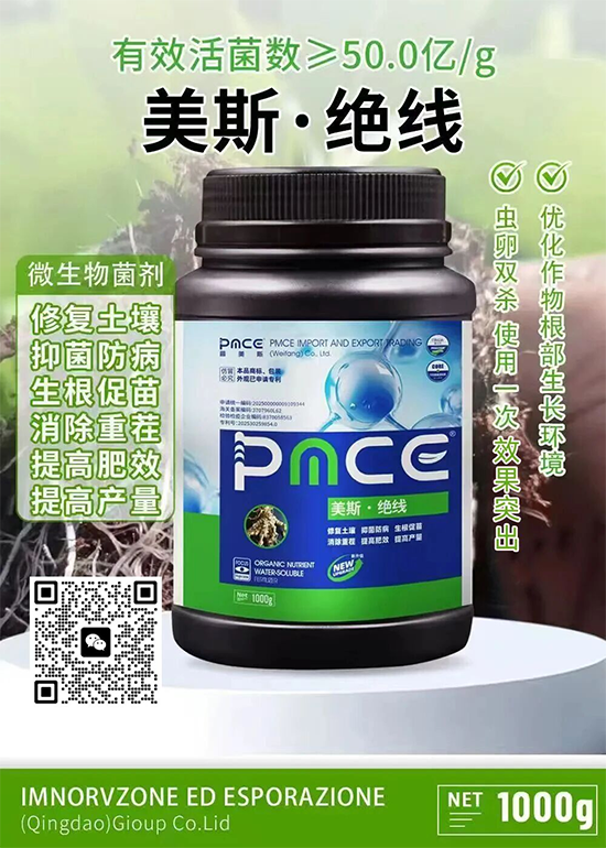 鏅編鏂?.png 鏅編鏂?.png