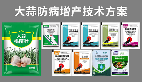 种蒜怕病害减产?根腐病、干尖黄叶不断,蒜棵细弱怎么办? 种蒜怕病害减产?根腐病、干尖黄叶不断,蒜棵细弱怎么办?