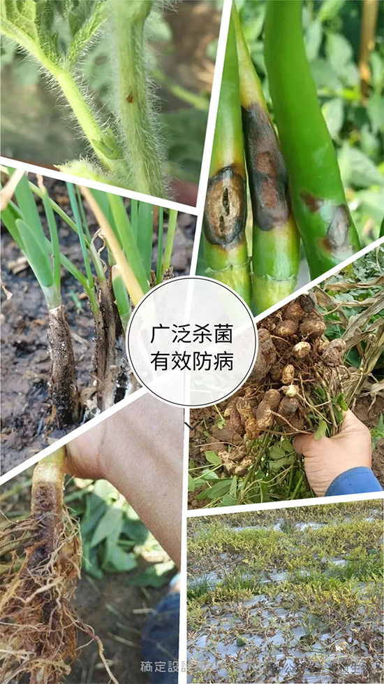 未标�?2.jpg