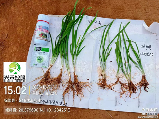 山东汤普乐作物科学有限公�?.jpg