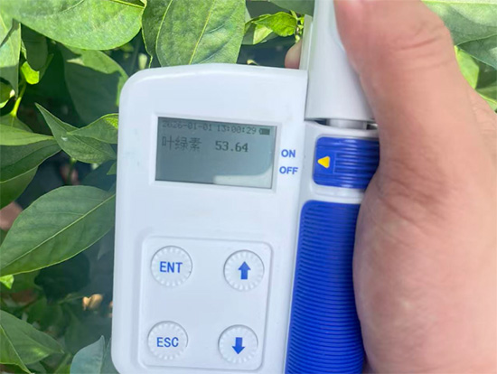 山东汤普乐作物科学有限公�?.jpg