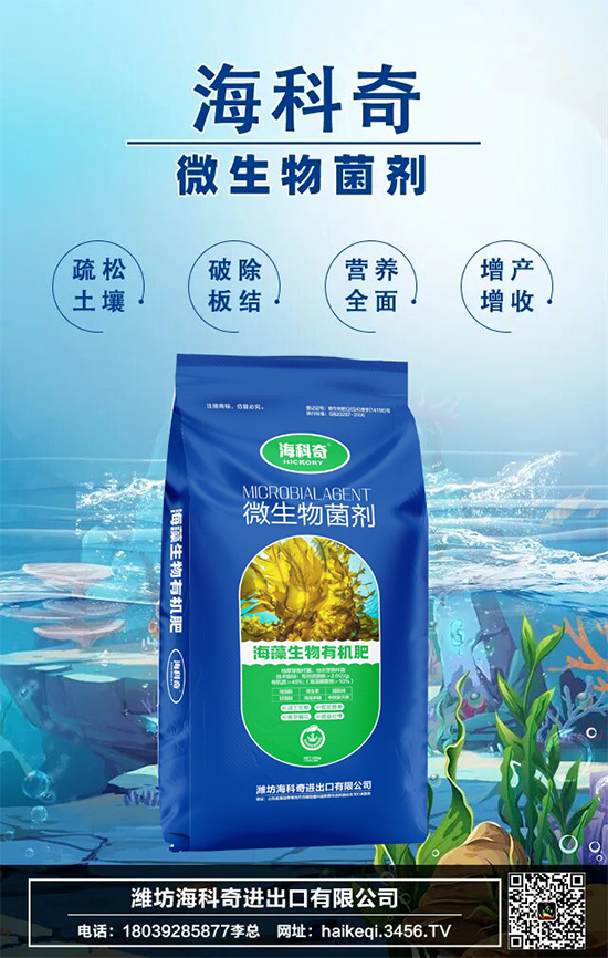 潍坊海科奇进出口有限公司2.jpg