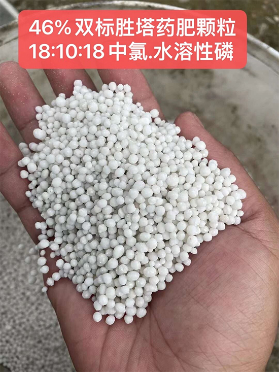 骞胯タ绉戝皷鐢熺墿绉戞妧鏈夐檺鍏徃5.jpg 骞胯タ绉戝皷鐢熺墿绉戞妧鏈夐檺鍏徃5.jpg