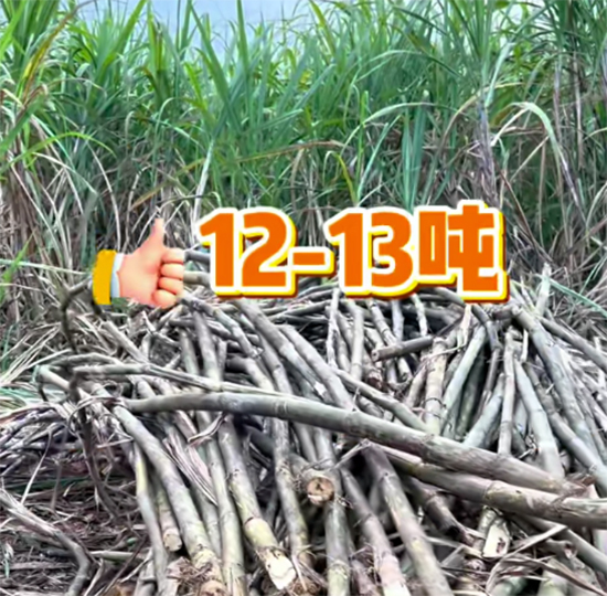 骞胯タ绉戝皷鐢熺墿绉戞妧鏈夐檺鍏徃3.jpg 骞胯タ绉戝皷鐢熺墿绉戞妧鏈夐檺鍏徃3.jpg