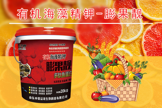 山东中德益农生物科技有限公司1.jpg
