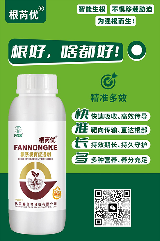 鏈爣棰?1.jpg 鏈爣棰?1.jpg