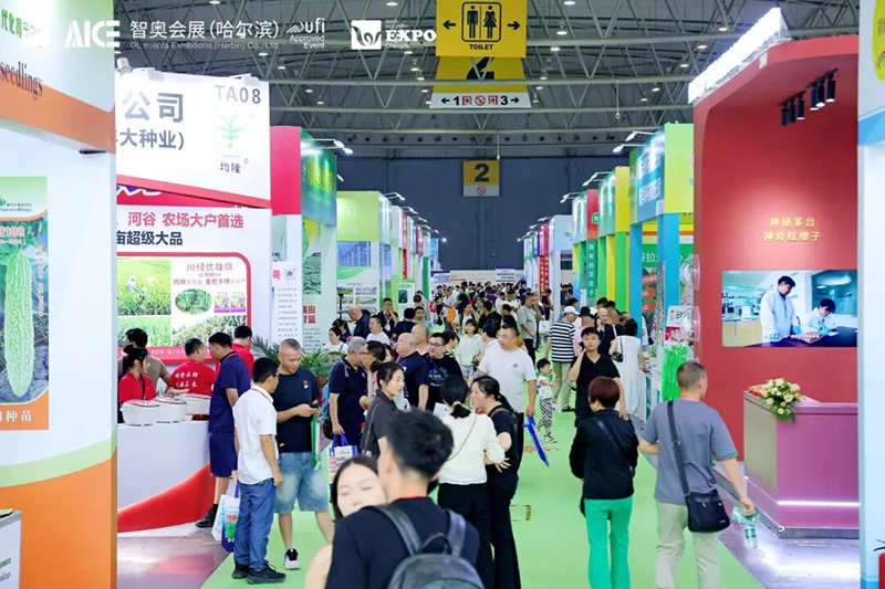 鍥剧墖6.png