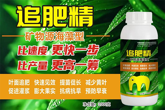 鏂扮枂涓壒鐓よ厫妞嶉吀鏈夐檺鍏徃2.png 鏂扮枂涓壒鐓よ厫妞嶉吀鏈夐檺鍏徃2.png