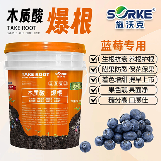 鏂芥矁鍏嬭繘鍑哄彛璐告槗锛堥潚宀涳級鏈夐檺鍏徃3.png 鏂芥矁鍏嬭繘鍑哄彛璐告槗锛堥潚宀涳級鏈夐檺鍏徃3.png