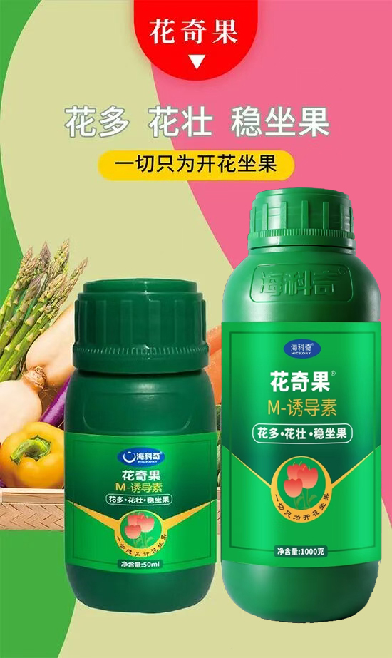 1.jpg 1.jpg