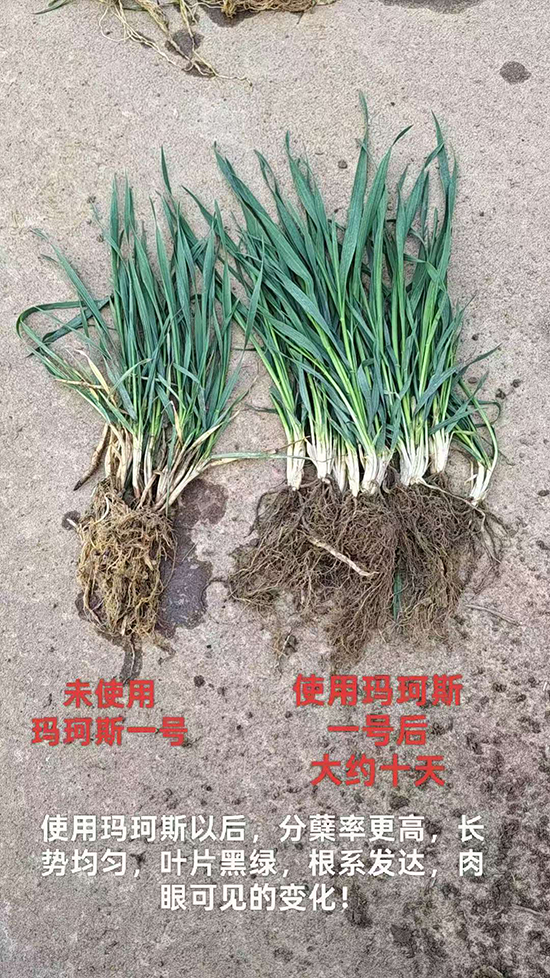 寰俊鍥剧墖_20260407084212_182_632.jpg 寰俊鍥剧墖_20260407084212_182_632.jpg