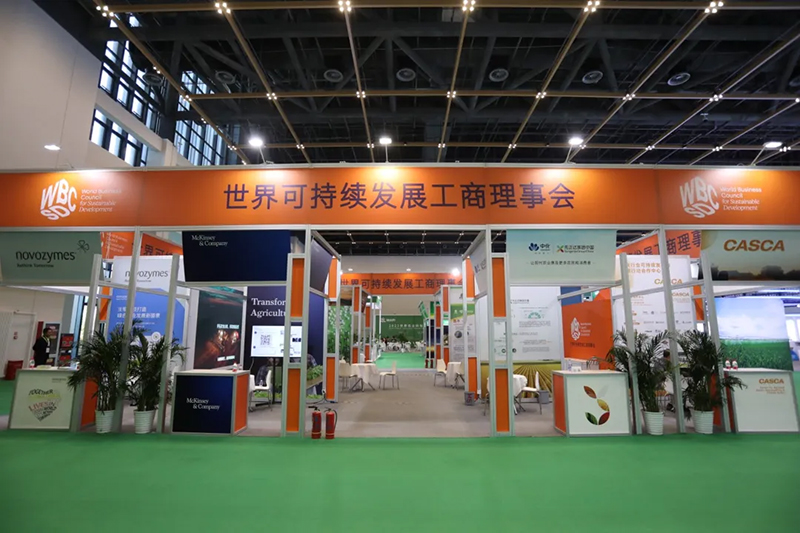 图片8.jpg