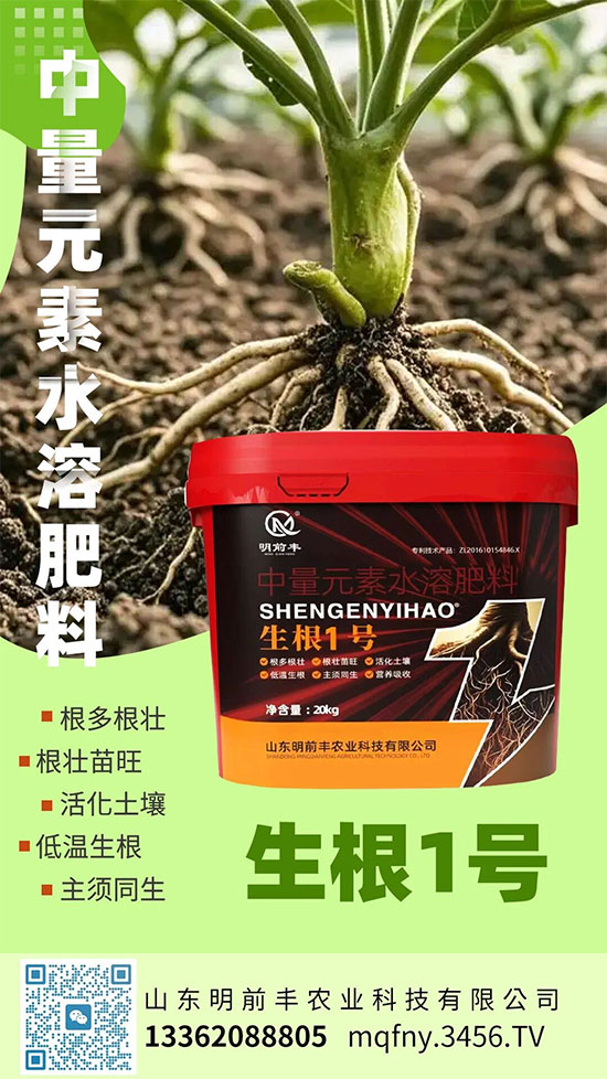 山东明前丰农业科技有限公司4.jpg