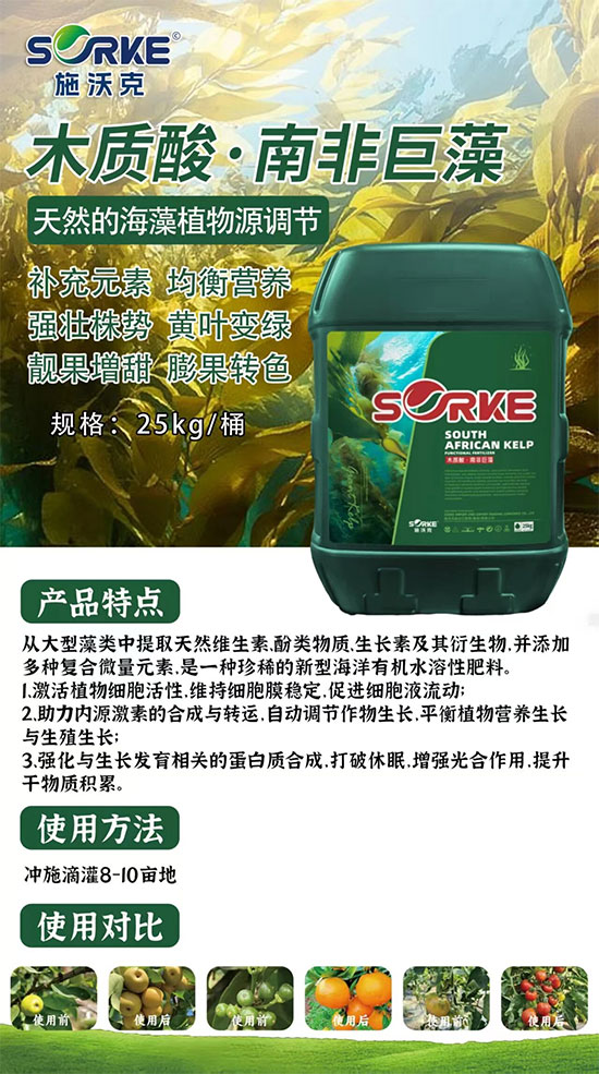 施沃克进出口贸易（青岛）有限公司2.jpg