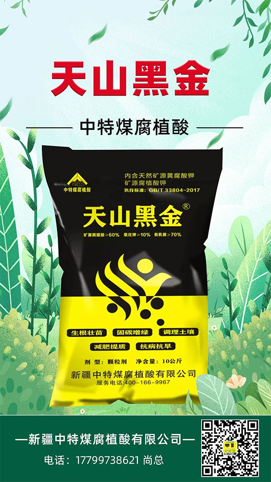 新疆中特煤腐植酸有限公司2.jpg