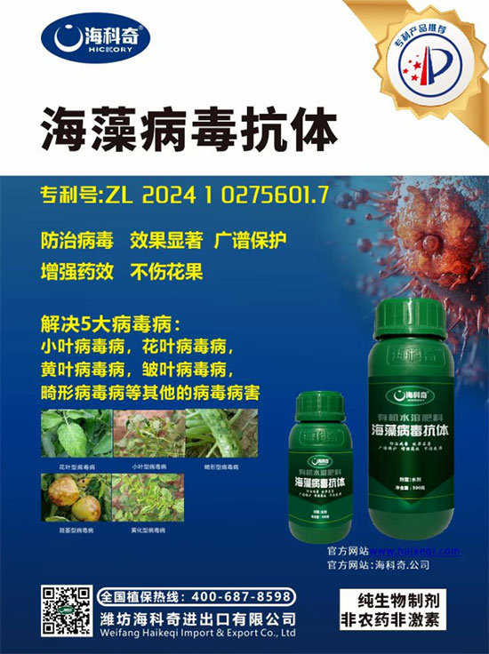 娼嶅潑娴风濂囪繘鍑哄彛鏈夐檺鍏徃5.jpg 娼嶅潑娴风濂囪繘鍑哄彛鏈夐檺鍏徃5.jpg