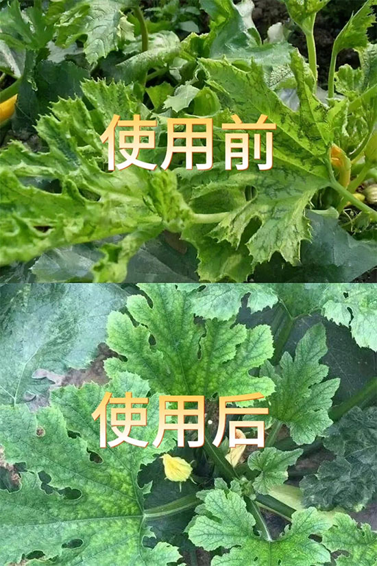 娼嶅潑娴风濂囪繘鍑哄彛鏈夐檺鍏徃4.jpg 娼嶅潑娴风濂囪繘鍑哄彛鏈夐檺鍏徃4.jpg