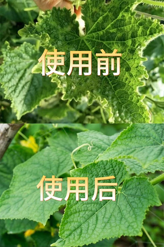 娼嶅潑娴风濂囪繘鍑哄彛鏈夐檺鍏徃3.jpg 娼嶅潑娴风濂囪繘鍑哄彛鏈夐檺鍏徃3.jpg