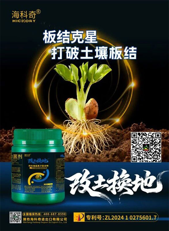 娼嶅潑娴风濂囪繘鍑哄彛鏈夐檺鍏徃7.jpg 娼嶅潑娴风濂囪繘鍑哄彛鏈夐檺鍏徃7.jpg
