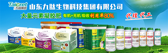 鏈爣棰?1.jpg 鏈爣棰?1.jpg