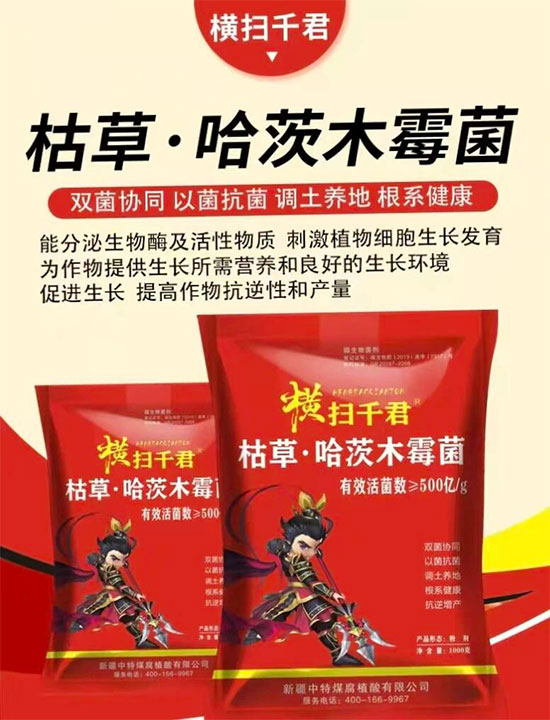 鏂扮枂涓壒鐓よ厫妞嶉吀鏈夐檺鍏徃3.jpg 鏂扮枂涓壒鐓よ厫妞嶉吀鏈夐檺鍏徃3.jpg
