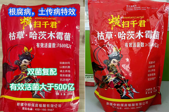 鏂扮枂涓壒鐓よ厫妞嶉吀鏈夐檺鍏徃2.jpg 鏂扮枂涓壒鐓よ厫妞嶉吀鏈夐檺鍏徃2.jpg