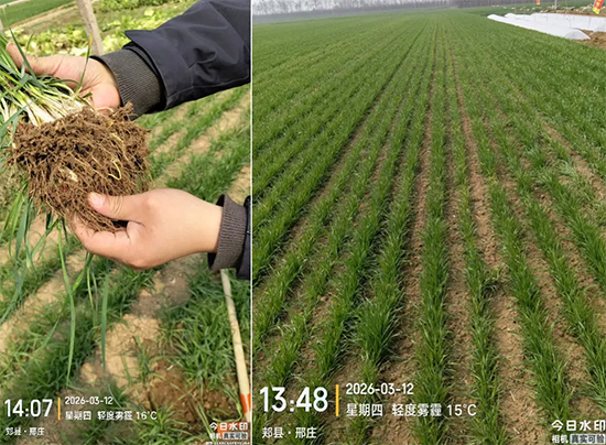 河南艾利农农业科技有限公司5.jpg